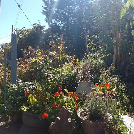 Beautiful Tiny House