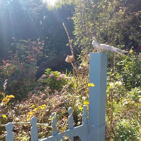 Beautiful Tiny House