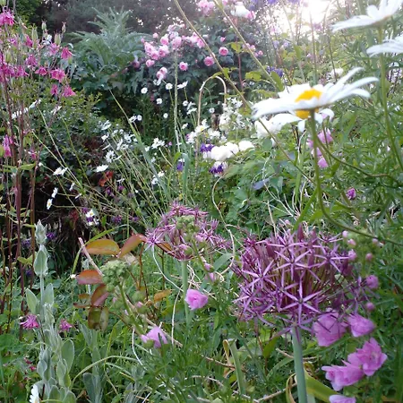 Σπίτι διακοπών Beautiful Tiny House
