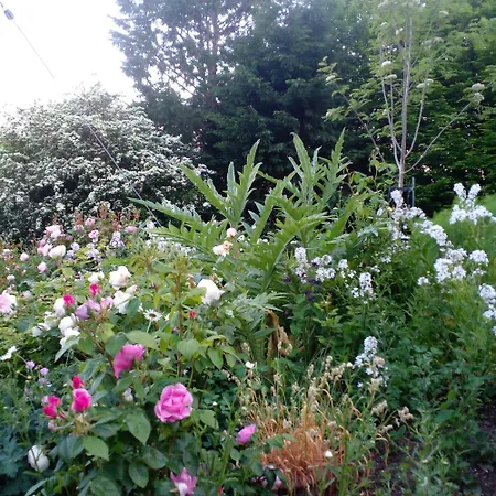 Beautiful Tiny House Σπίτι διακοπών *